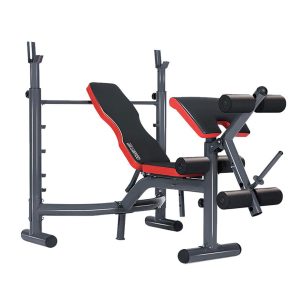 Powertrain Home Gym Bench Press Incline Decline Preachers Curl Exercise