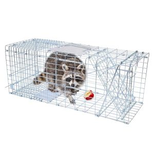 Animal Traps