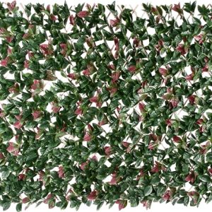 Photinia Hedge Extendable Trellis / Screen 2 Meter By 1 Meter UV Stabilised