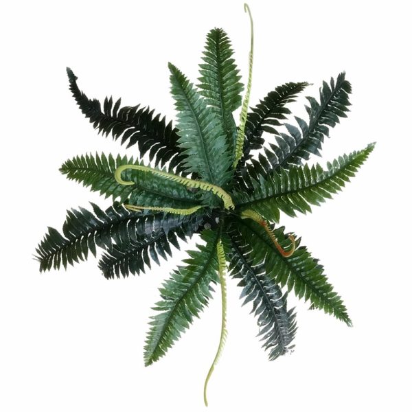 Artificial Dark Green Boston Fern 60cm