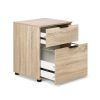 Filing Cabinet 2 Drawer Office Storage Organiser