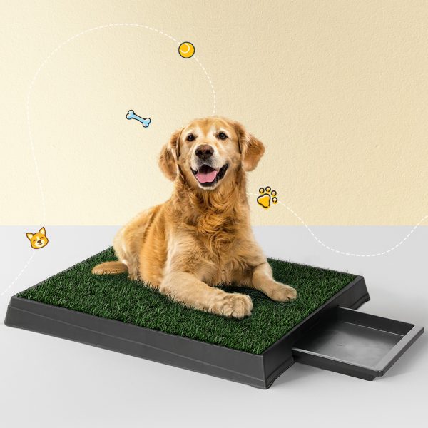 Pet Training Pad Dog Potty Toilet Large Portable With Tray Grass 2 Mats