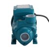 Peripheral Pump Water Garden Boiler Car Wash Irrigation Electric QB60