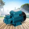 Peripheral Pump Water Garden Boiler Car Wash Irrigation Electric QB60