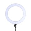 LED Ring Light 5500K Dimmable Diva Diffuser With Stand Make Up Studio – 14 Inch