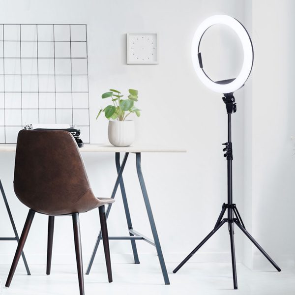 LED Ring Light 5500K Dimmable Diva Diffuser With Stand Make Up Studio – 14 Inch