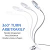 Lighting LED 8X Magnifying Lamp with Metal Clamp 360° Flexible Gooseneck and USB Plug Design for Tattoo, Manicure and Reading