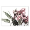 Eucalyptus in Bloom White Frame Canvas Wall Art – 50×70 cm