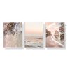 Amazing Newzealand 3 Sets White Frame Canvas Wall Art – 40×60 cm