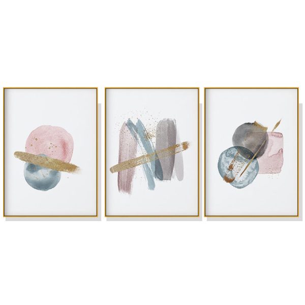 Blush Pink Watercolor 3 Sets Gold Frame Canvas Wall Art – 40×60 cm