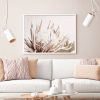 Pure Protea II White Frame Canvas Wall Art – 50×70 cm