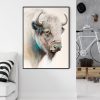 Great White Buffalo Black Frame Canvas Wall Art – 50×70 cm