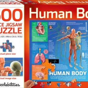 Human Body 500 Piece Jigsaw Puzzle