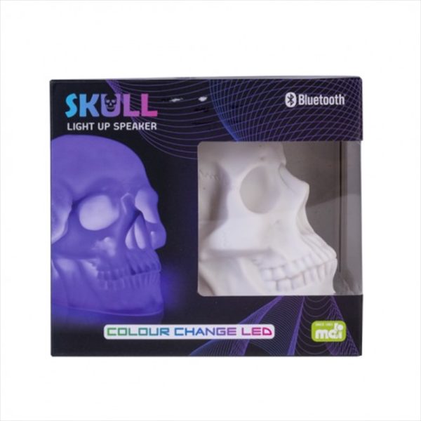 Light Up Skull Speaker