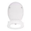 Non-electric Bidet Seat