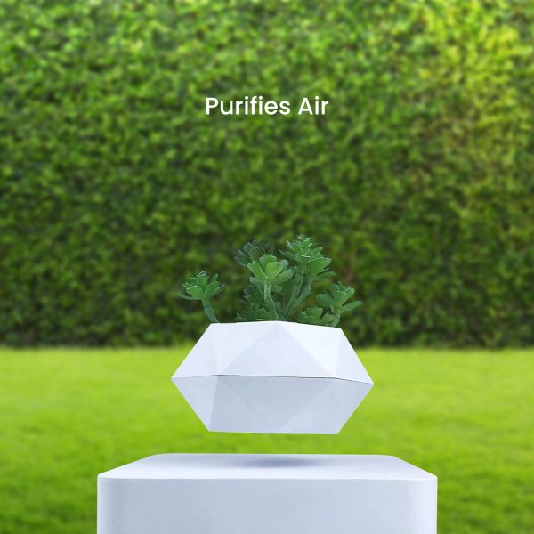 Magnetic Levitating Plant Pot White