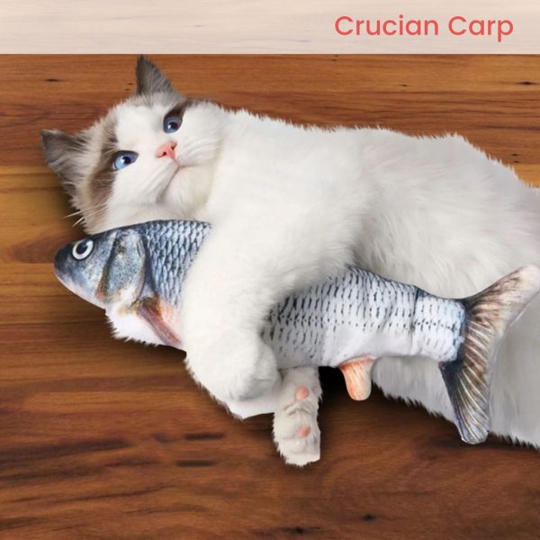 USB Electric Fish Toy (Crucian Carp)