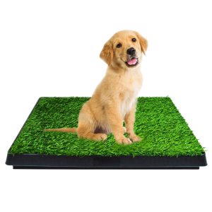 Floofi Pet Grass Training Potty PT-LM-109-FE / PT-LM-109-JL