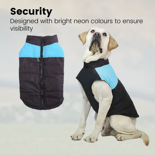 Pet Winter Vest (L Blue)