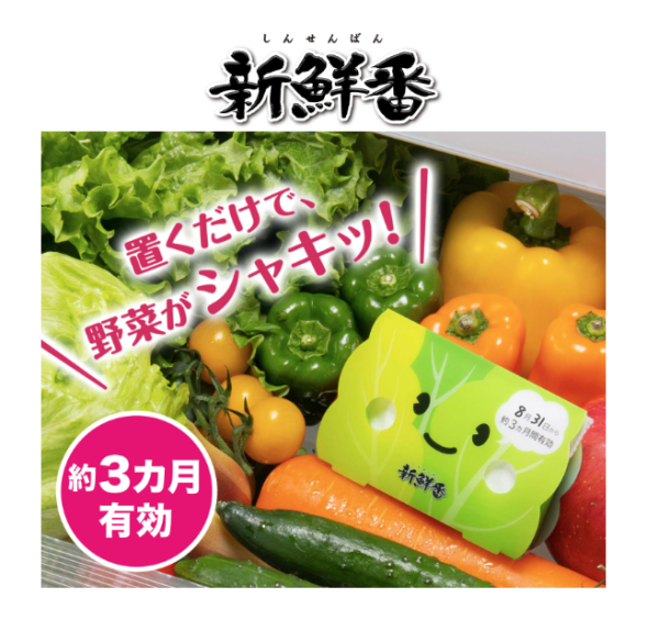 [6-PACK] Japan Refrigerate Vegetables for Long-term Preservation