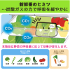 [6-PACK] Japan Refrigerate Vegetables for Long-term Preservation