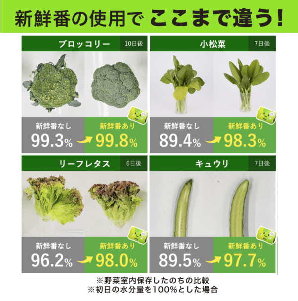 [6-PACK] Japan Refrigerate Vegetables for Long-term Preservation