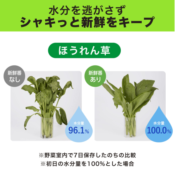 [6-PACK] Japan Refrigerate Vegetables for Long-term Preservation