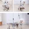 2 X Medium Pet Dog Cat Puppy Kitten Rabbit Dog Harness Collar leash lead 3 Color