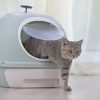 Hooded Cat Toilet Litter Box Tray House With Drawer & Scoop Blue