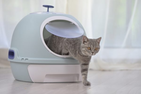 Hooded Cat Toilet Litter Box Tray House With Drawer & Scoop Blue