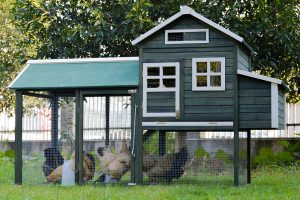 XL Chicken Coop Rabbit Hutch Guinea Pig Cage Ferret House