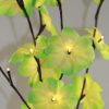 1 Set of 50cm H 20 LED Green Frangipani Tree Branch Stem Fairy Light Wedding Event Party Function Table Vase Centrepiece Tropical Decoration