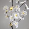 1 Set of 50cm H 20 LED White Frangipani Tree Branch Stem Fairy Light Wedding Event Party Function Table Vase Centrepiece Decoration