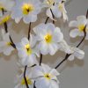 1 Set of 50cm H 20 LED White Frangipani Tree Branch Stem Fairy Light Wedding Event Party Function Table Vase Centrepiece Decoration