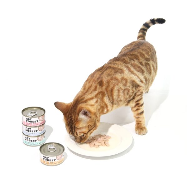 CAT FOREST Classic Tuna White Meat With Whitebait In Gravy Cat Canned Food 85G X 24