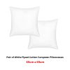 Pair of White Piped Hotel Deluxe Cotton European Pillowcases