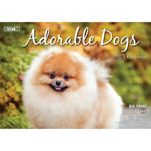 Adorable Dogs â€“ 2023 Rectangle Wall Calendar 16 Months Planner New Year Gift