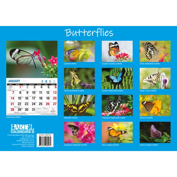 Butterflies – 2024 Rectangle Wall Calendar 16 Months Colorful Butterfly Photos