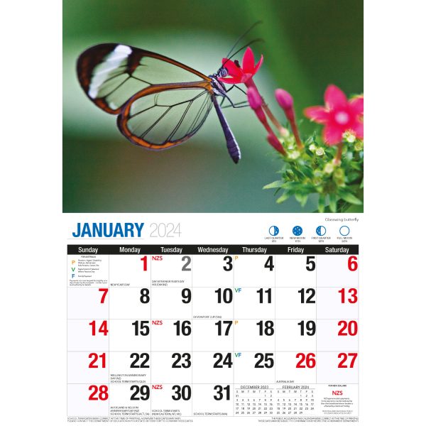 Butterflies – 2024 Rectangle Wall Calendar 16 Months Colorful Butterfly Photos