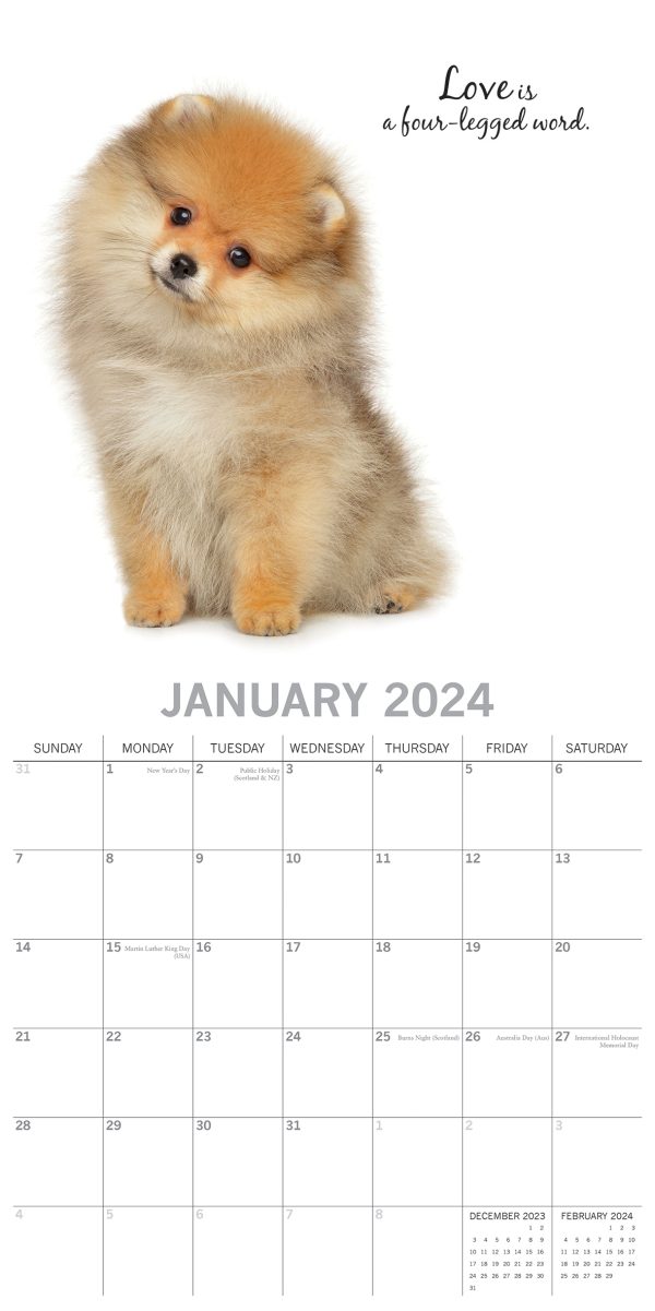 Adorable Dogs – 2024 Square Wall Calendar Pets Animals 16 Months Premium Planner