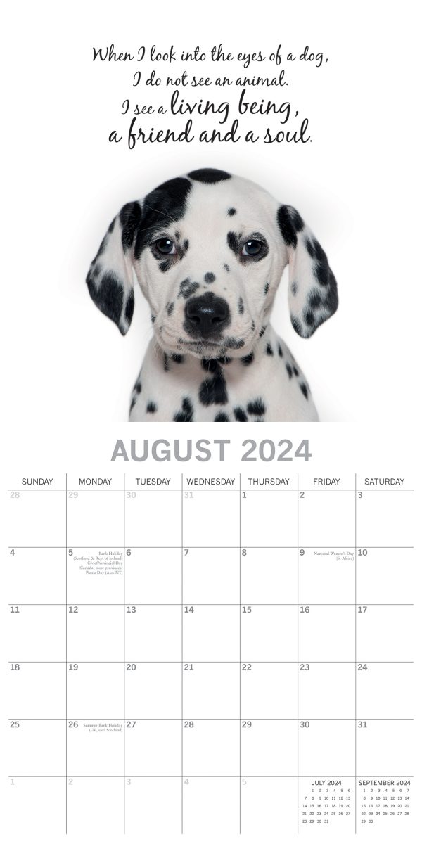 Adorable Dogs – 2024 Square Wall Calendar Pets Animals 16 Months Premium Planner