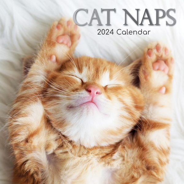 Cat Naps – 2024 Square Wall Calendar Pets Animals 16 Months Premium Planner Gift