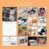 Cat Naps – 2024 Square Wall Calendar Pets Animals 16 Months Premium Planner Gift