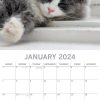 Cat Naps – 2024 Square Wall Calendar Pets Animals 16 Months Premium Planner Gift