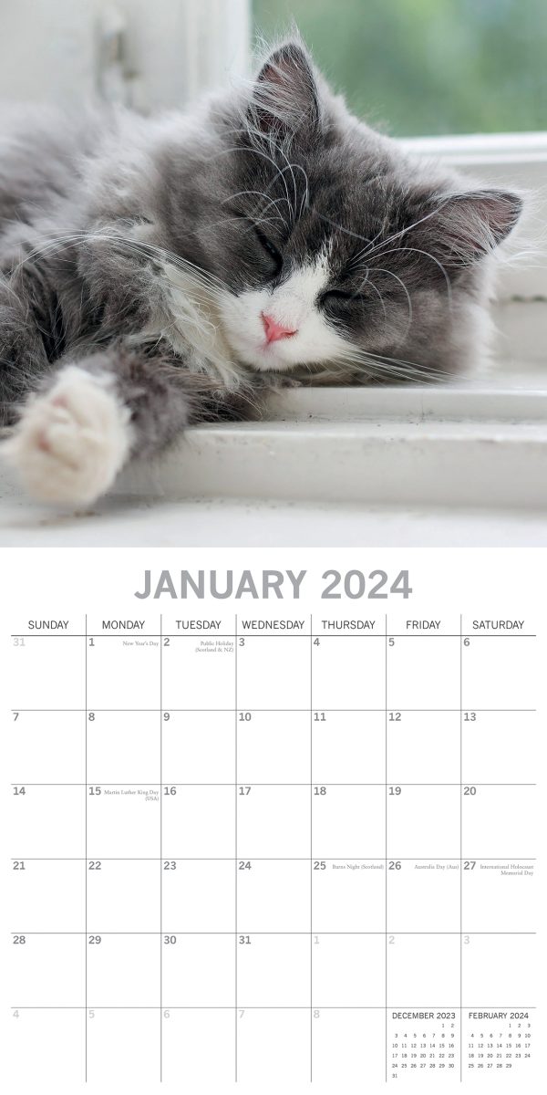 Cat Naps – 2024 Square Wall Calendar Pets Animals 16 Months Premium Planner Gift