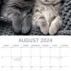 Cat Naps – 2024 Square Wall Calendar Pets Animals 16 Months Premium Planner Gift