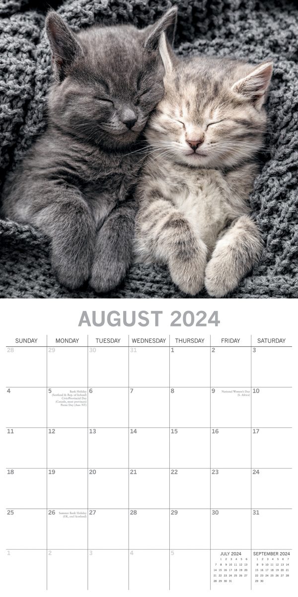 Cat Naps – 2024 Square Wall Calendar Pets Animals 16 Months Premium Planner Gift