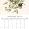 Illustrated Garden Birds – 2024 Square Wall Calendar Pets Animals 16 Months