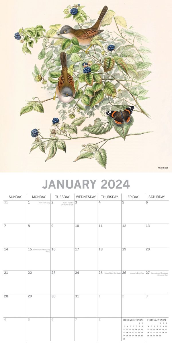 Illustrated Garden Birds – 2024 Square Wall Calendar Pets Animals 16 Months