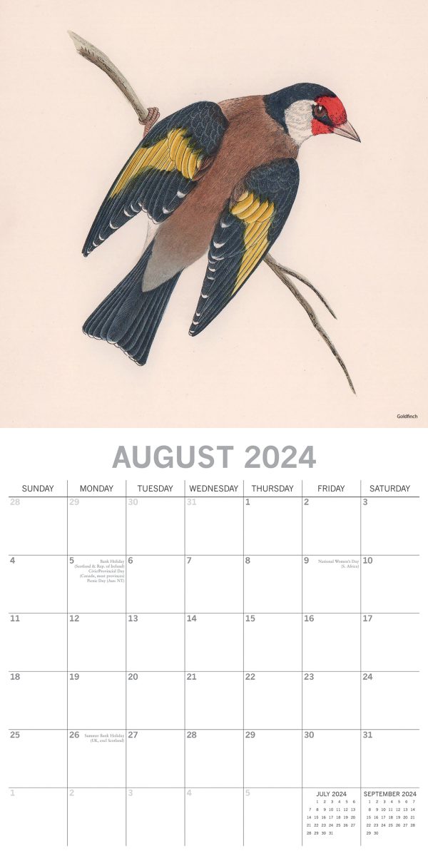 Illustrated Garden Birds – 2024 Square Wall Calendar Pets Animals 16 Months